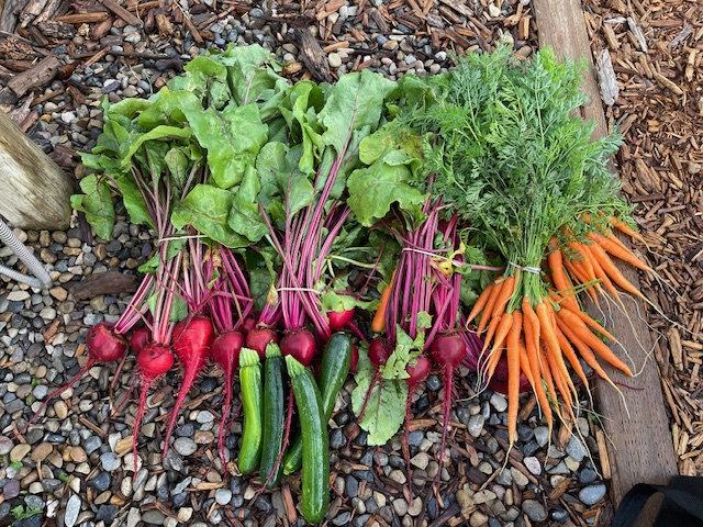 Food Rescue Donation